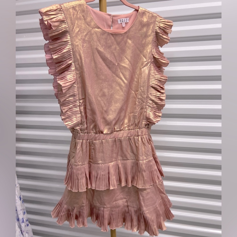 TCEC pinky gold holiday dress